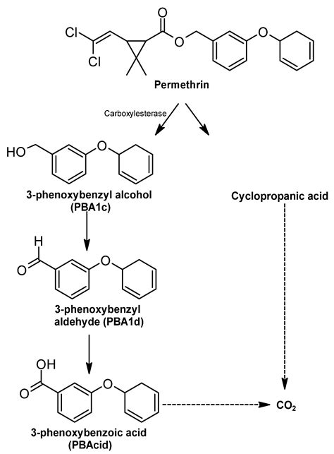 Microbiology and Biochemistry of Pesticides Biodegradation
