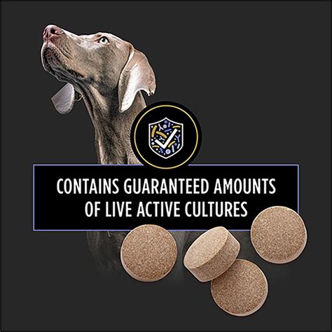 Purina Pro Plan Veterinary Supplements FortiFlora Chewable Tablet ...