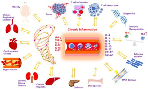 Chronic Diseases and Influenza Vaccines