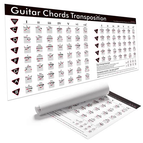 Snapklik.com : Guitar Chord Transposition Chart Poster, Functional ...
