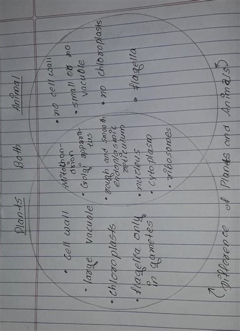 IV Fill in the Venn Diagram with differences and similarities of Plants ...