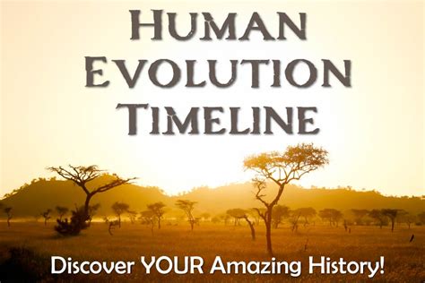 Evolution Timeline Chart 的图像结果