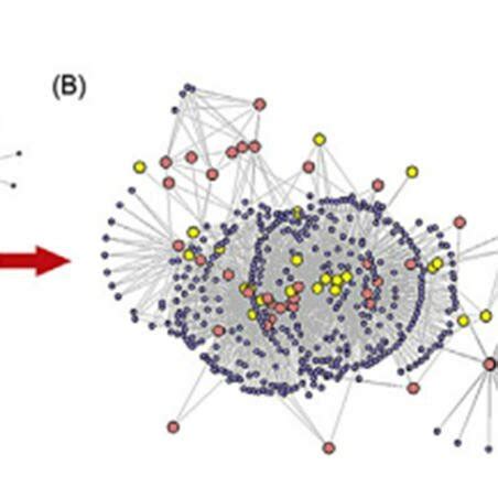 Connectivity Map 的图像结果
