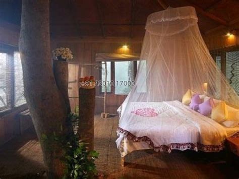 Wonderful Tree House in Munnar - Munnar Hosted By Mobin (MU1617 ...