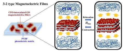 Effect of the Two-Dimensional Magnetostrictive Fillers of CoFe2O4 ...