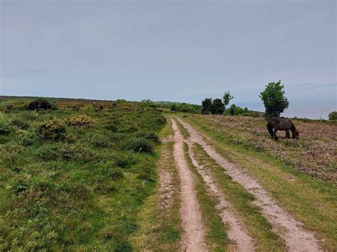 MINEHEAD CAMPING AND CARAVANNING CLUB SITE (Exmoor National Park ...
