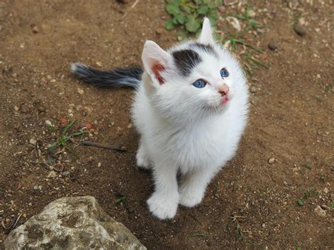 Small Resolution Image Free Stock 的图像结果