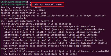 Image result for Nemo File Manager