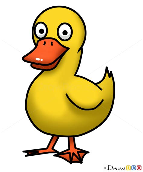 How to Draw Duck for Kids 的图像结果