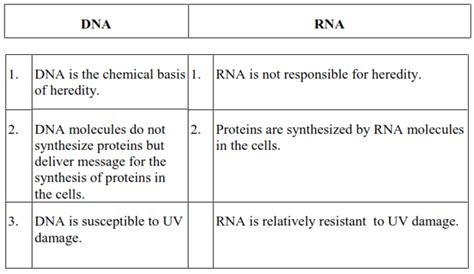 NCERT Solutions for Class 12 Chemistry Chapter 14 Biomolecules PDF - eSaral
