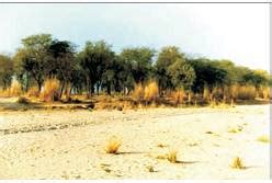 Given below is a figure of an ecosystem. Answer the following questions ...