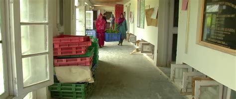 J-K government begins rearing process of cocoons to increase silk ...