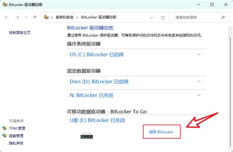 Enable BitLocker 的图像结果
