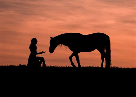 Horse Initiation mit Mel Sterzer - Yeguada La Perla