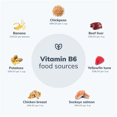 Benefits of B6 的图像结果