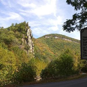 Trail Daze 2024: Still Dazed, Reed's Creek Road, Upper Tract, WV, 8 ...