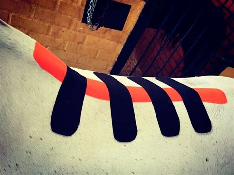 Clínica Equina Olmedo Fisioterapia Equina | Clínica Equina Olmedo