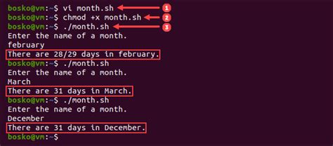Image result for Shell Case Statement