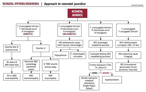 Differential Diagnosis Of Pathological Jaundice at Lois Ray blog