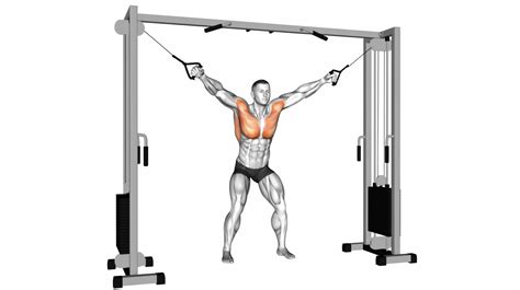 Image result for Contralateral Exercises Cable Machine