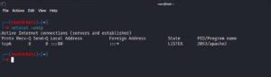 Monitoring Active Connections in Kali Linux Using Netstat - Tech Hyme