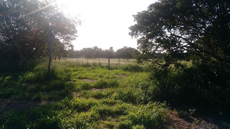 PITAHAYA GLAMPING (Cabo Rojo) - Campground Reviews, Photos, Rate ...