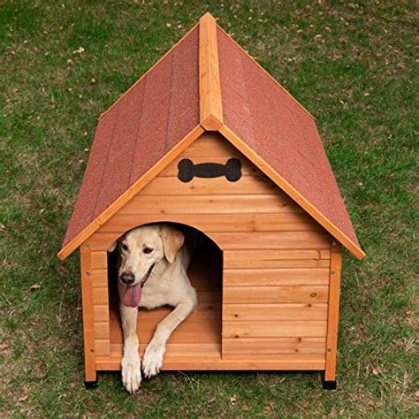 Buy Wooden Dog Kennel - Sturdy & Attractive Outdoor Dog Kennel Made ...