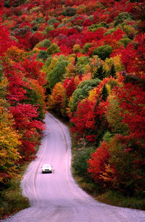 Diez increíbles postales de otoño