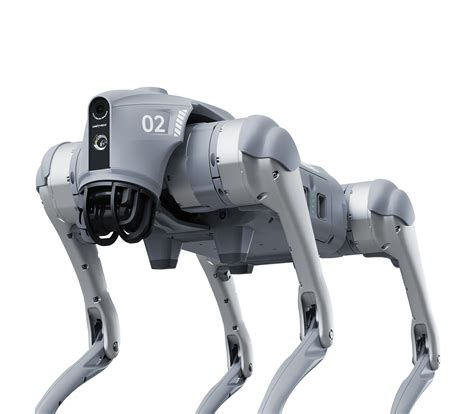 Robot UniTree 的图像结果