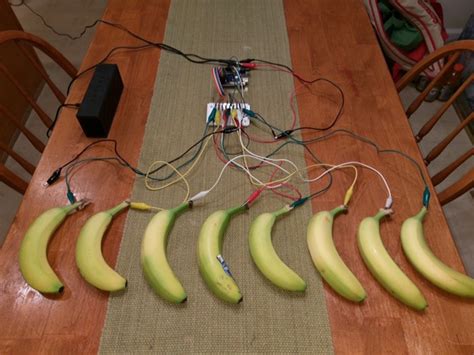 Image result for Fruit Keyboard Arduino