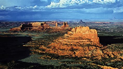 Arizona Food Stamp Office - Mom Blog Society