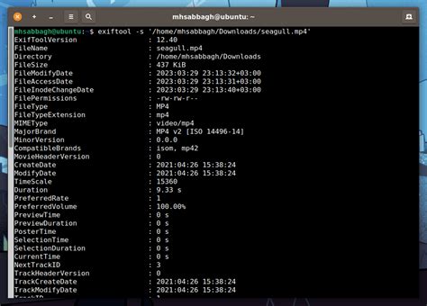 Metadata in File System 的图像结果