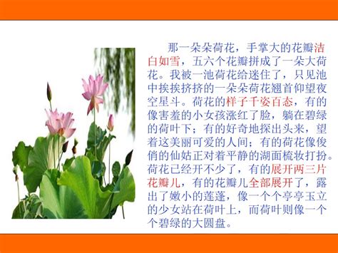 精选用托物言志的方法写一篇植物作文400字Word模板下载_编号lzympjyb_熊猫办公