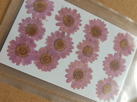 Pressed Flower - Purple – Maya Resin Store