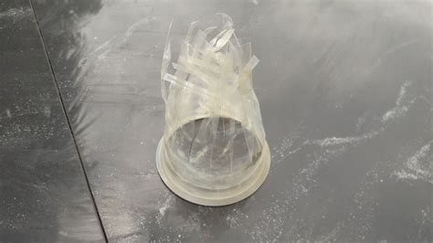 How to Make a Cockroach Trap 的图像结果