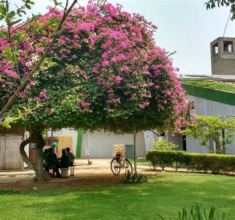 LEISURE VALLEY PARK (2026) All You Need to Know BEFORE You Go (with ...