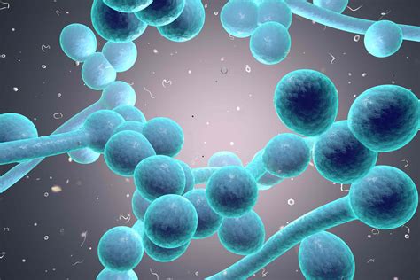 Rashes Caused by Candida Infections
