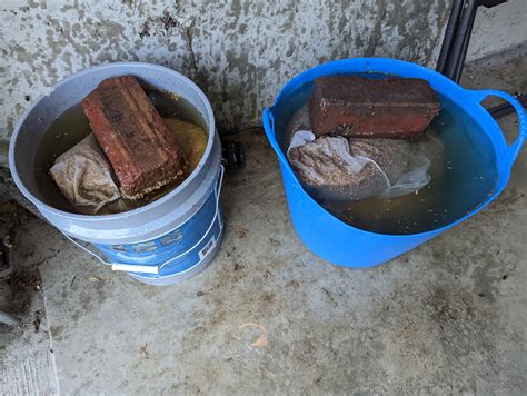 Pre-Germinating Grass Seed For Overseeding Project - September 2022