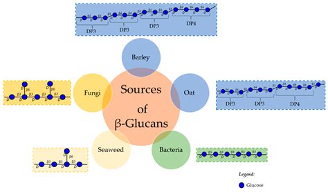 Polysaccharide Structures and Their Hypocholesterolemic Potential