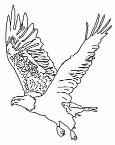 ausmalbilder zum ausdrucken adler adler ausmalbilder ausdrucken malvor ausmalbilder zum ausdrucken adler adler ausmalbilder ausdrucken malvor