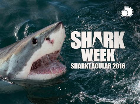 Image result for Shark Week 2016