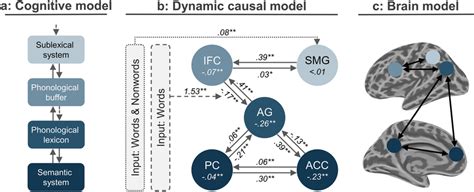 Image result for Lexical Decoding