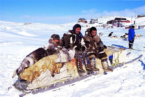 Inuit Traditional Food And Hunting