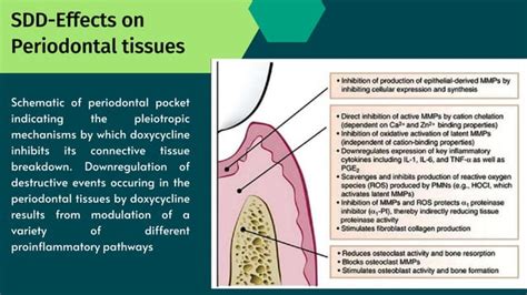 Host Modulation Therapy 的图像结果