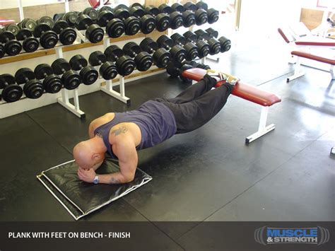 Image result for Bench Plank Exercise