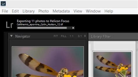 Helicon Focus 7 Tutorial 的图像结果