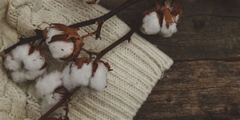 Fibras Textiles 的图像结果