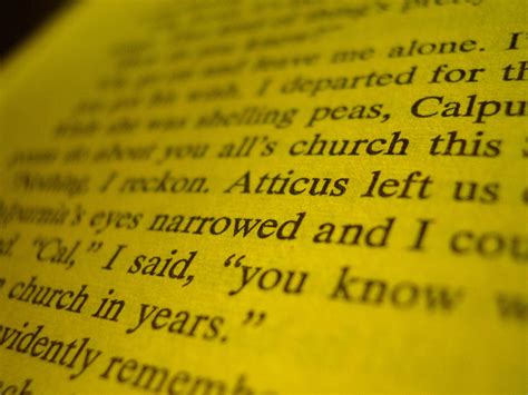 Text Text 的图像结果