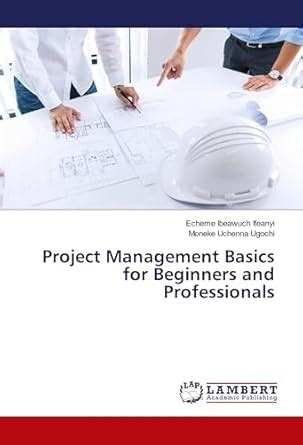 Project Management Basics for Beginners and Professionals : Moneke ...