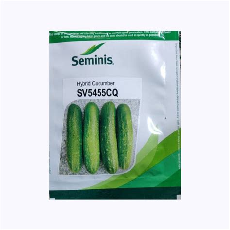 SV5455CQ Cucumber Seeds - Seminis | F1 Hybrid | Buy Online - DesiKheti ...